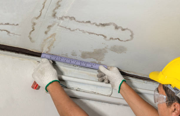Reliable Mold Remediation contractor in Hunter, ND by Water Damage Irwin